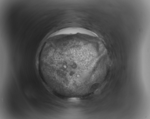 X0000087610053200705251950