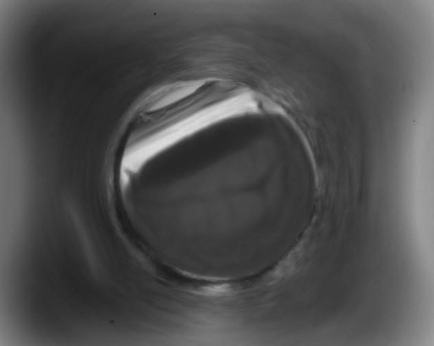 X0000087610054200705251951