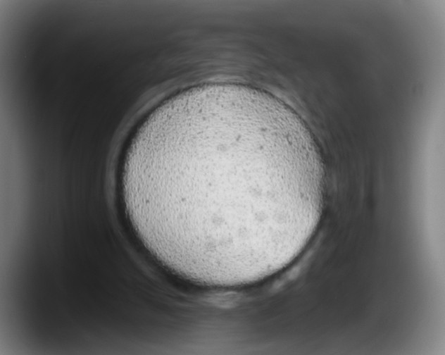 X0000087610055200705251951