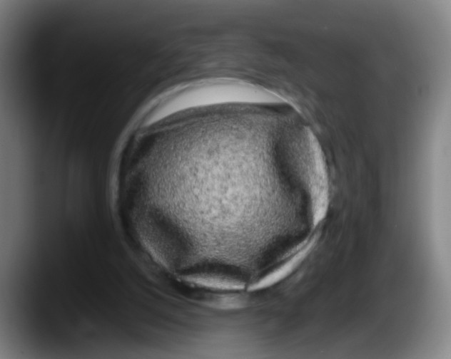 X0000087610056200705251951