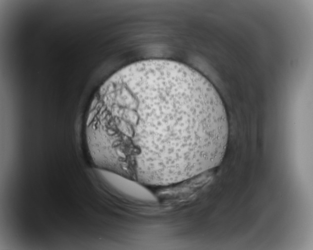 X0000087610058200705251951