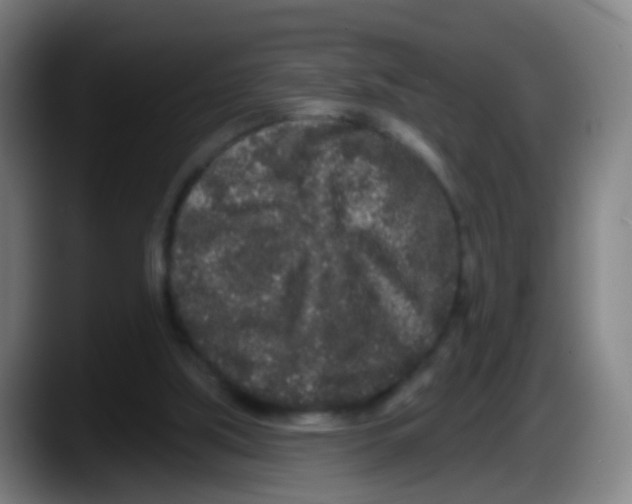 X0000087610059200705251951