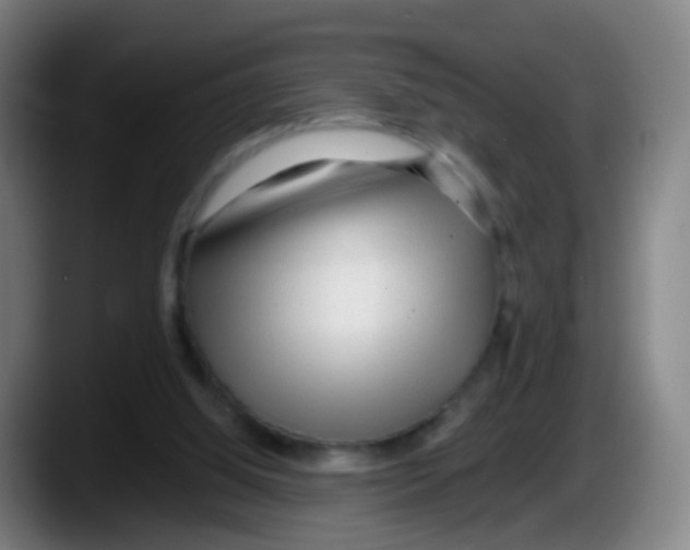 X0000087610060200705251951