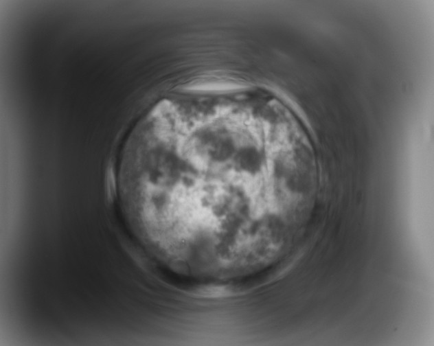 X0000087610061200705251951