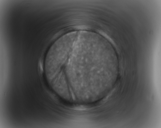X0000087610062200705251951