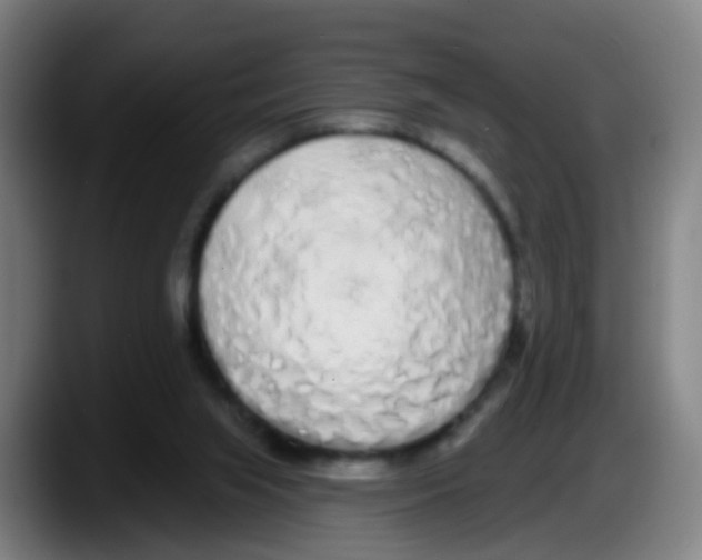 X0000087610063200705251951