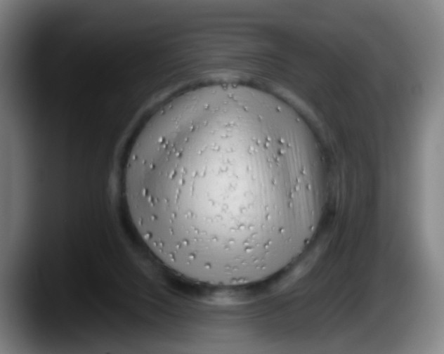 X0000087610064200705251951