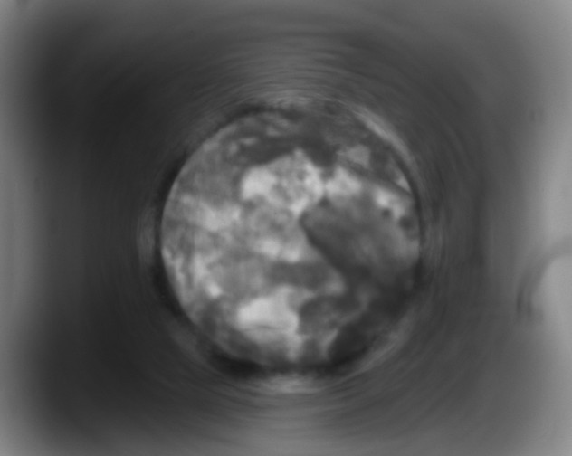 X0000087610065200705251951