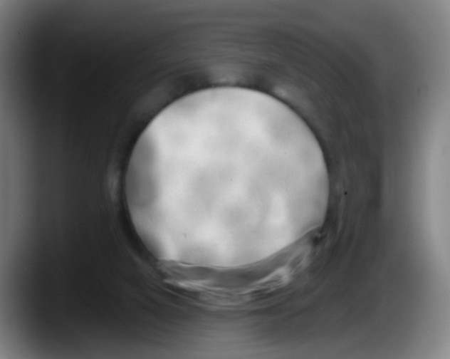 X0000087610066200705251951