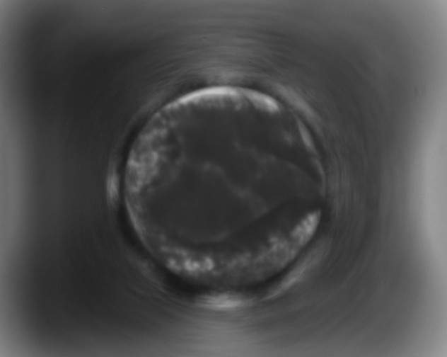 X0000087610067200705251951