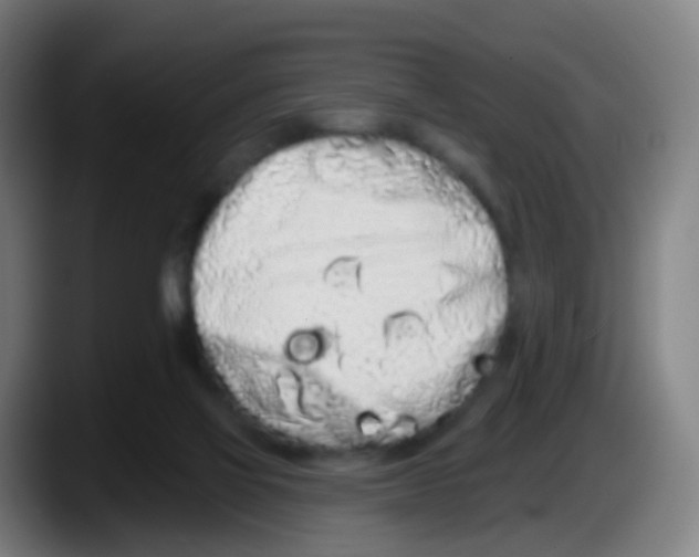 X0000087610069200705251951