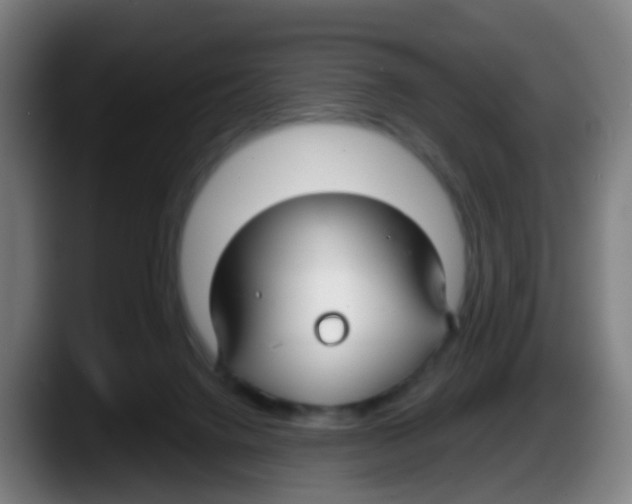 X0000087610072200705251951