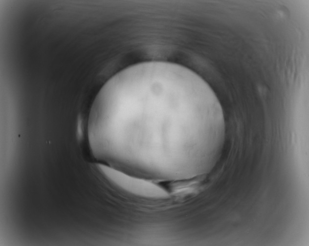 X0000087610075200705251951