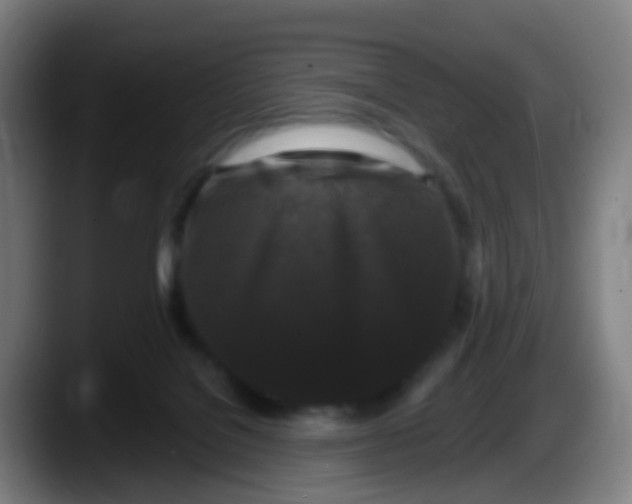 X0000087610076200705251951