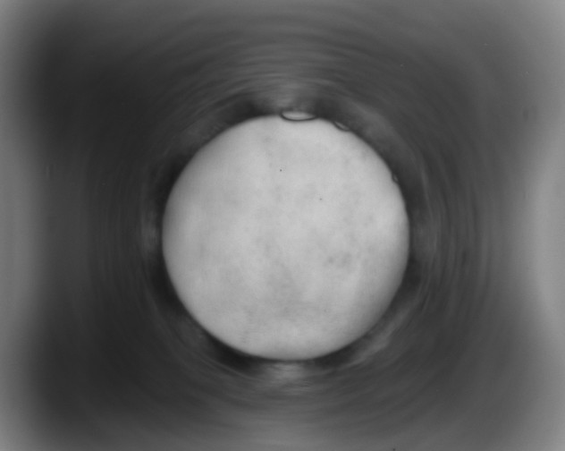 X0000087610085200705251951