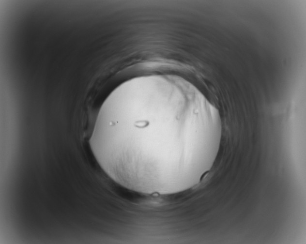 X0000087610086200705251951