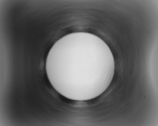 X0000087610087200705251951