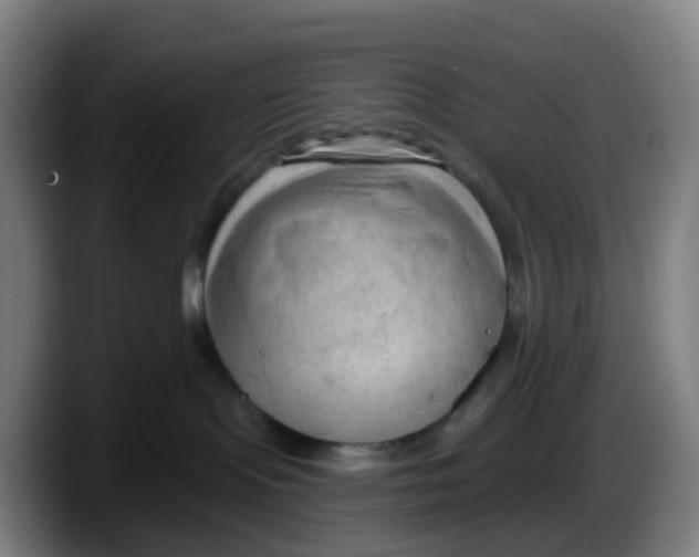 X0000087610095200705251951