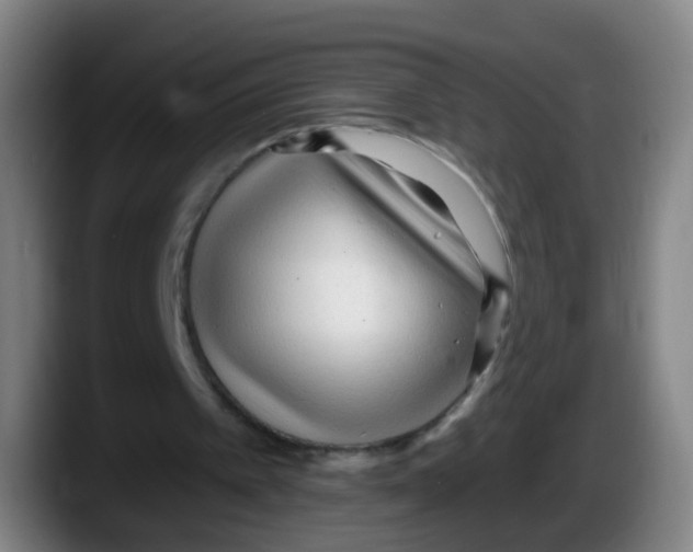 X0000087610097200705251950