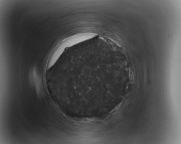 X0000087610099200705251950