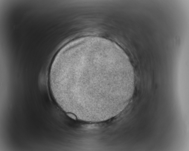 X0000087610100200705251950