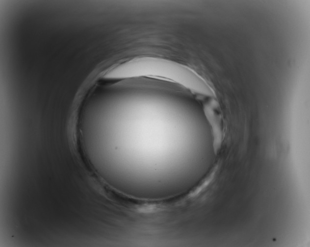 X0000087610101200705251950