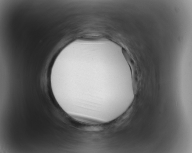 X0000087610102200705251950