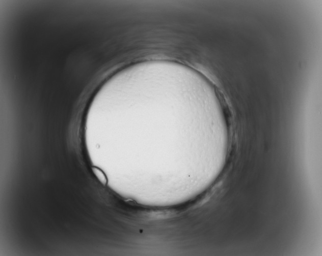 X0000087610103200705251950