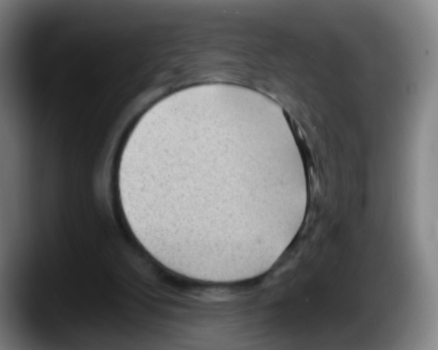 X0000087610104200705251950