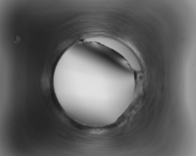 X0000087610105200705251950