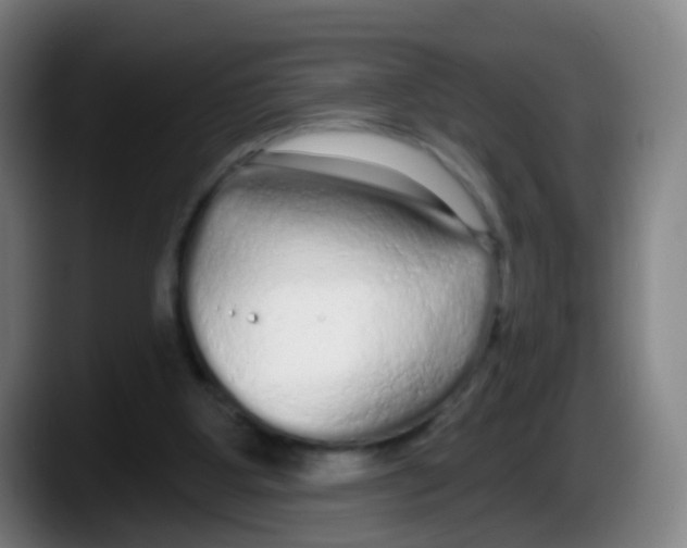 X0000087610107200705251950