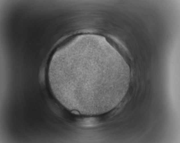 X0000087610108200705251950