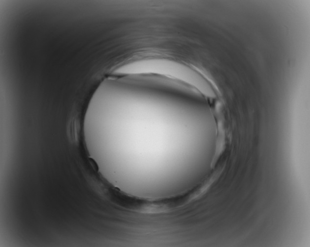 X0000087610109200705251950