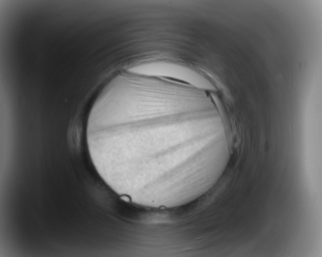 X0000087610110200705251950