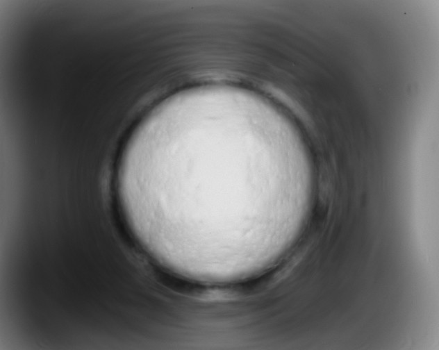 X0000087610111200705251950