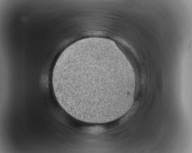 X0000087610112200705251950