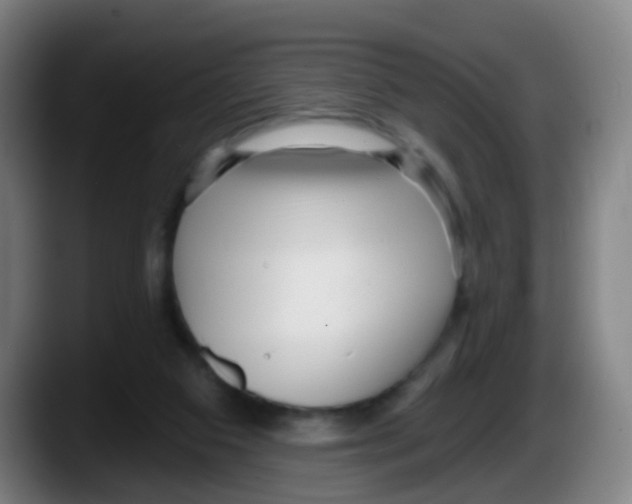 X0000087610113200705251950