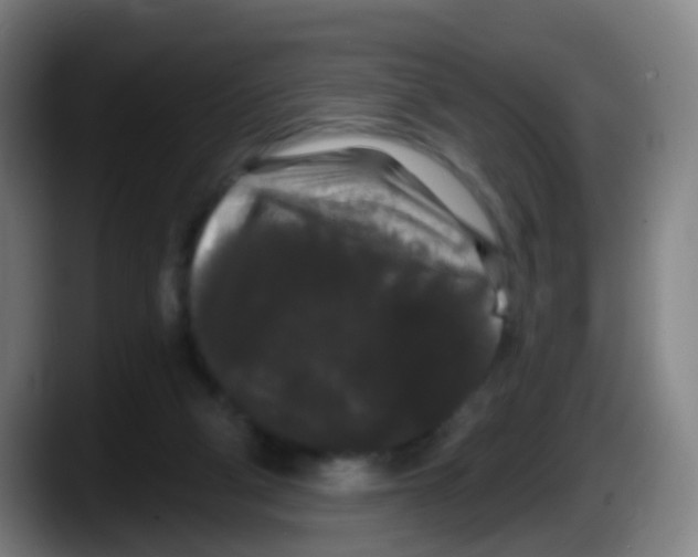 X0000087610114200705251950