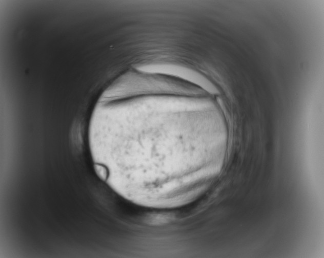 X0000087610115200705251950