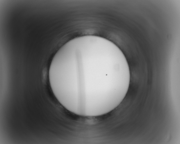 X0000087610118200705251950