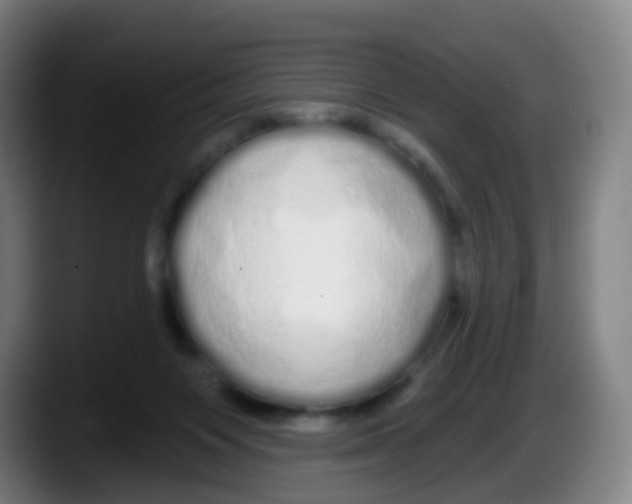 X0000087610119200705251950