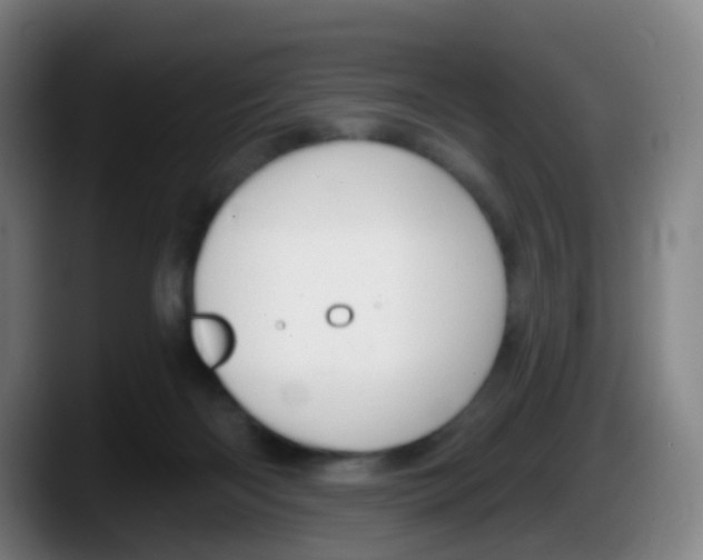 X0000087610122200705251950