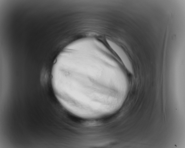 X0000087610123200705251950