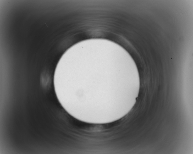 X0000087610124200705251950