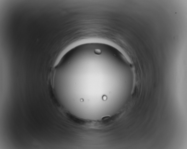 X0000087610125200705251950