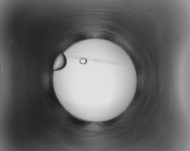 X0000087610126200705251950