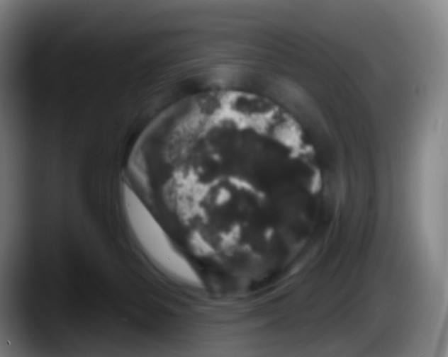 X0000087610127200705251950