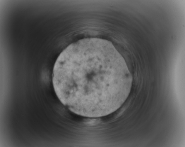 X0000087610135200705251950