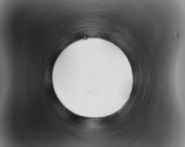 X0000087610136200705251950