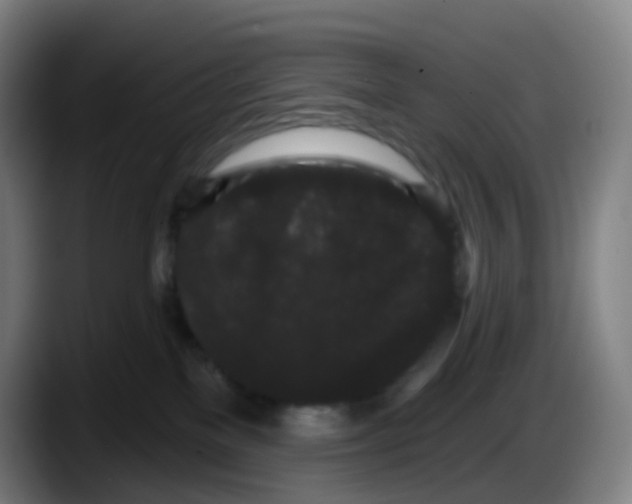 X0000087610137200705251950